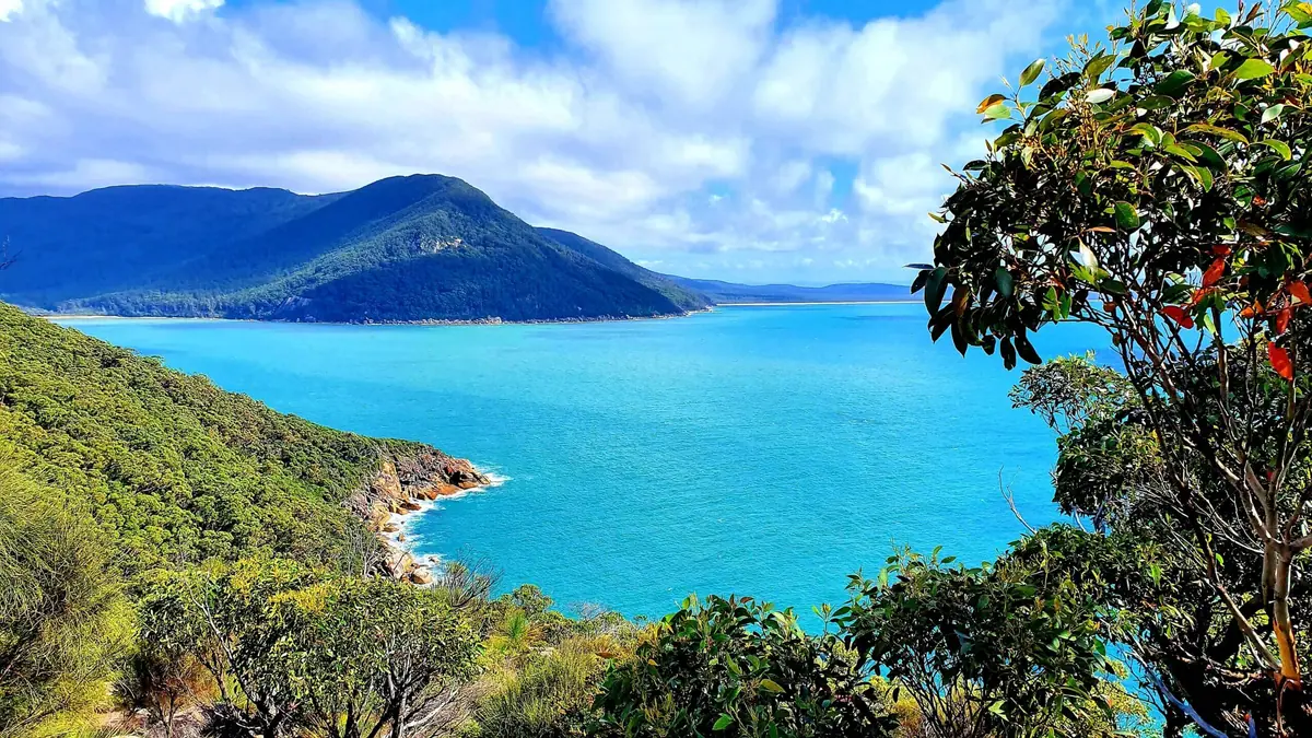 Turquoise bay and forested headland at Wilsons Promontory