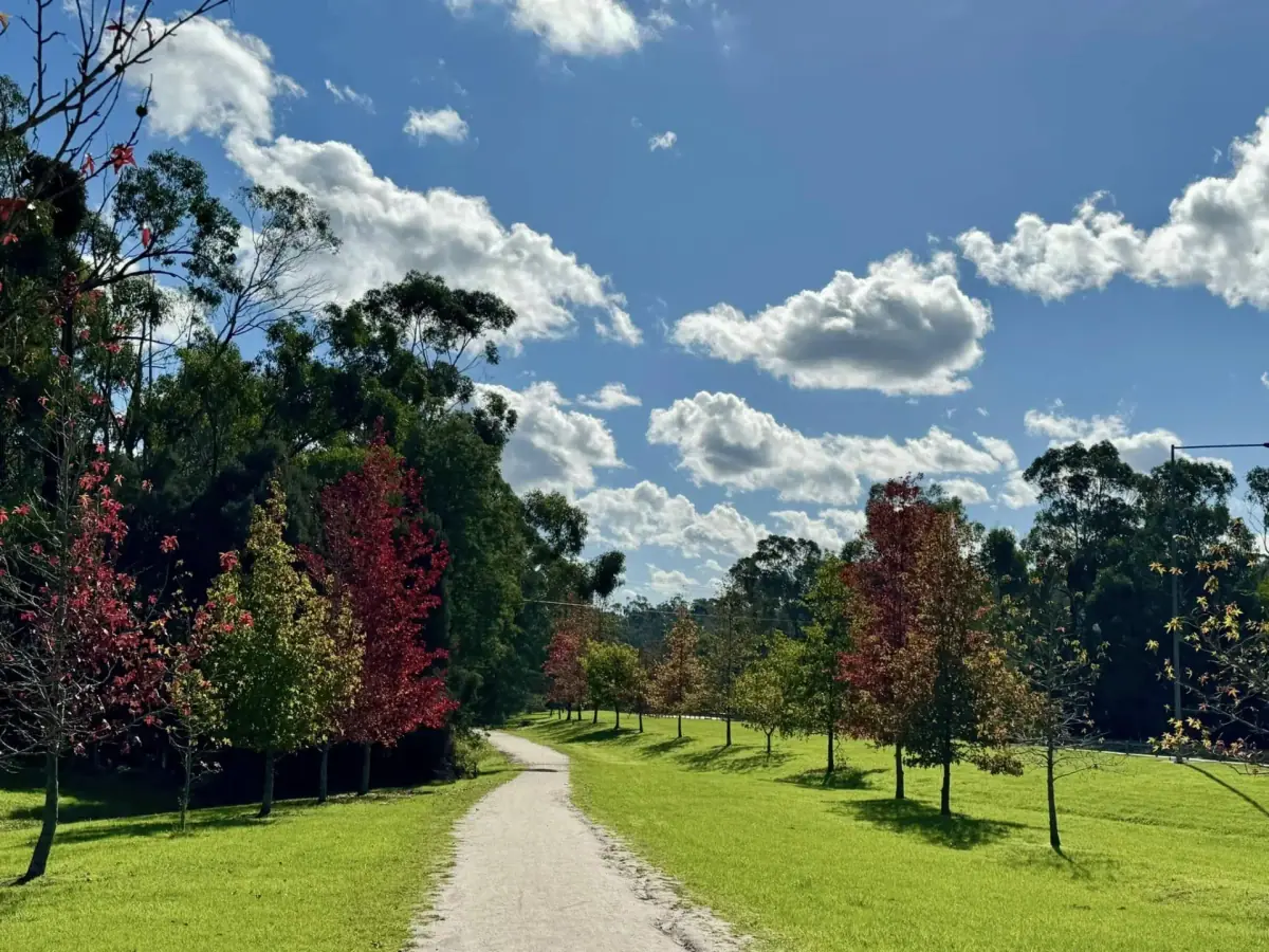 The Great Southern Rail Trail lined with trees near Koonwarra