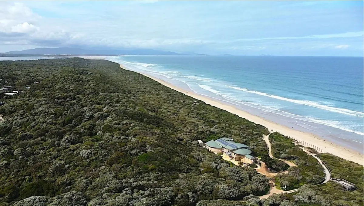 Aerial view of bushland meeting the beach near Sandy Point